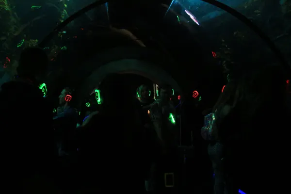 img0840bd80.jpg