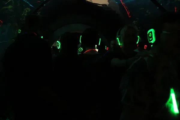 img0843bd80.jpg