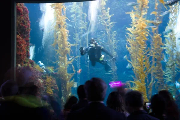 img0592.jpg